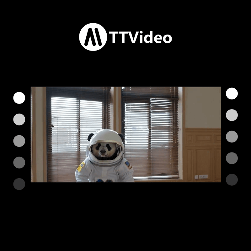 Preview and download the video