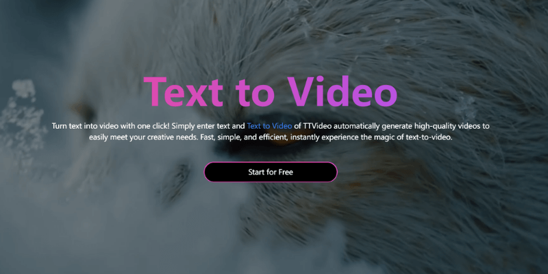 text to video