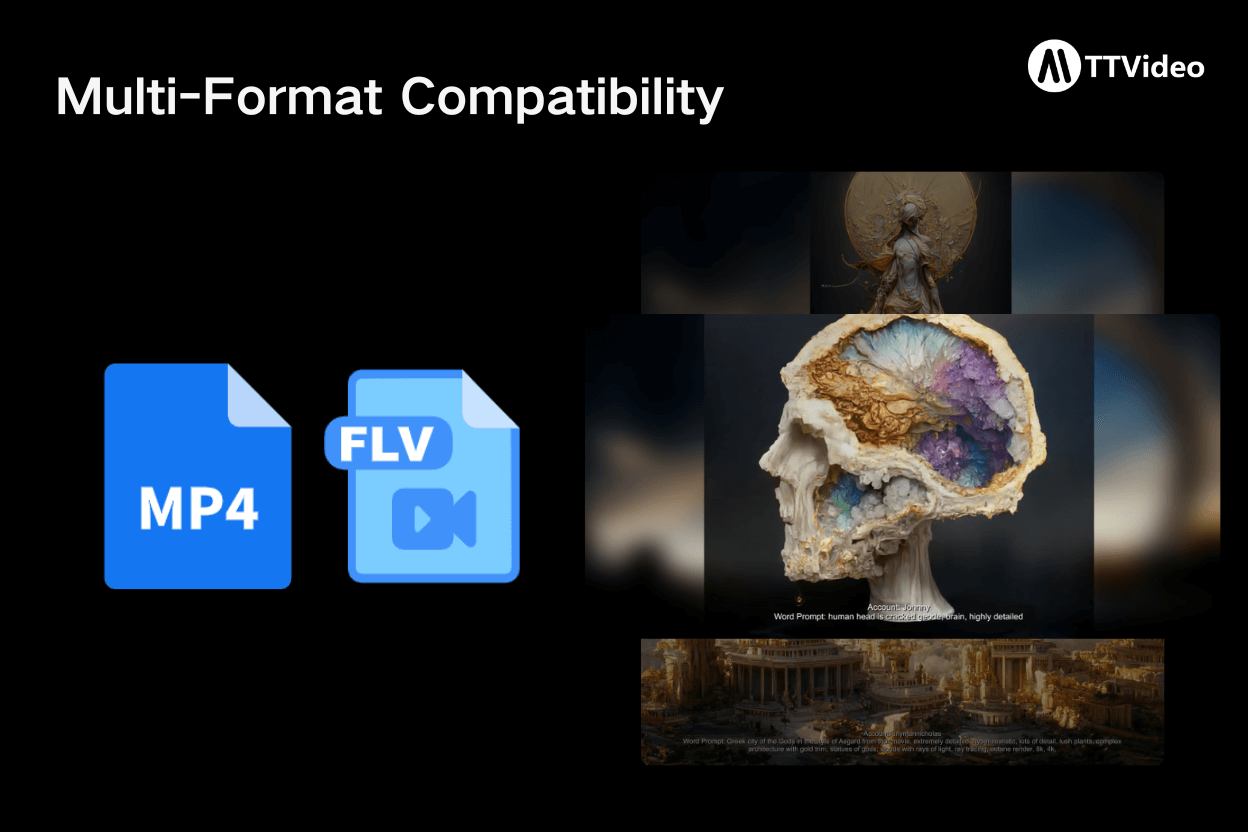 Multi-Format Compatibility