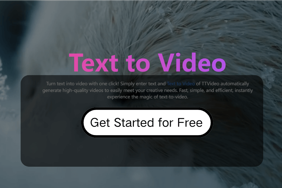 Text to Video